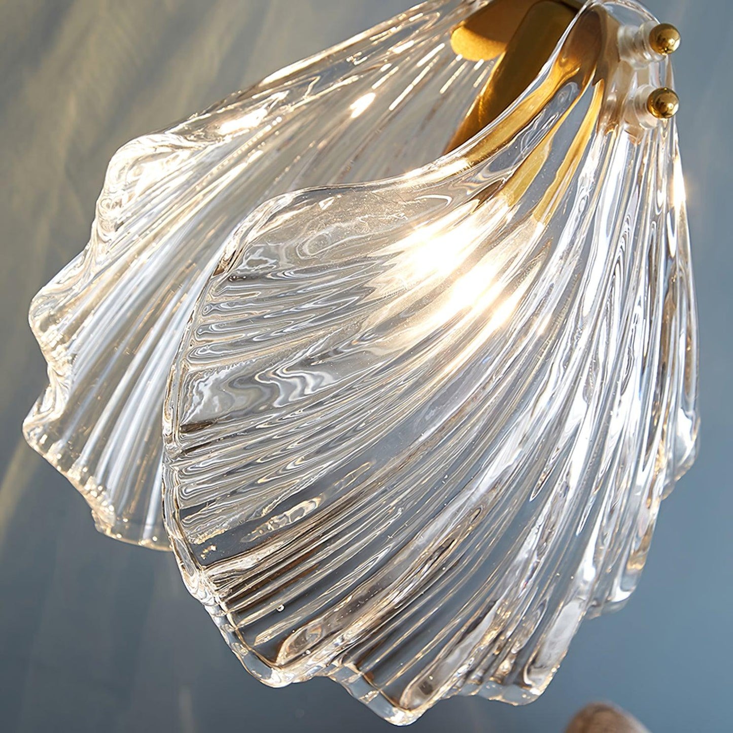 Shell Mini Pendant Swag Light
