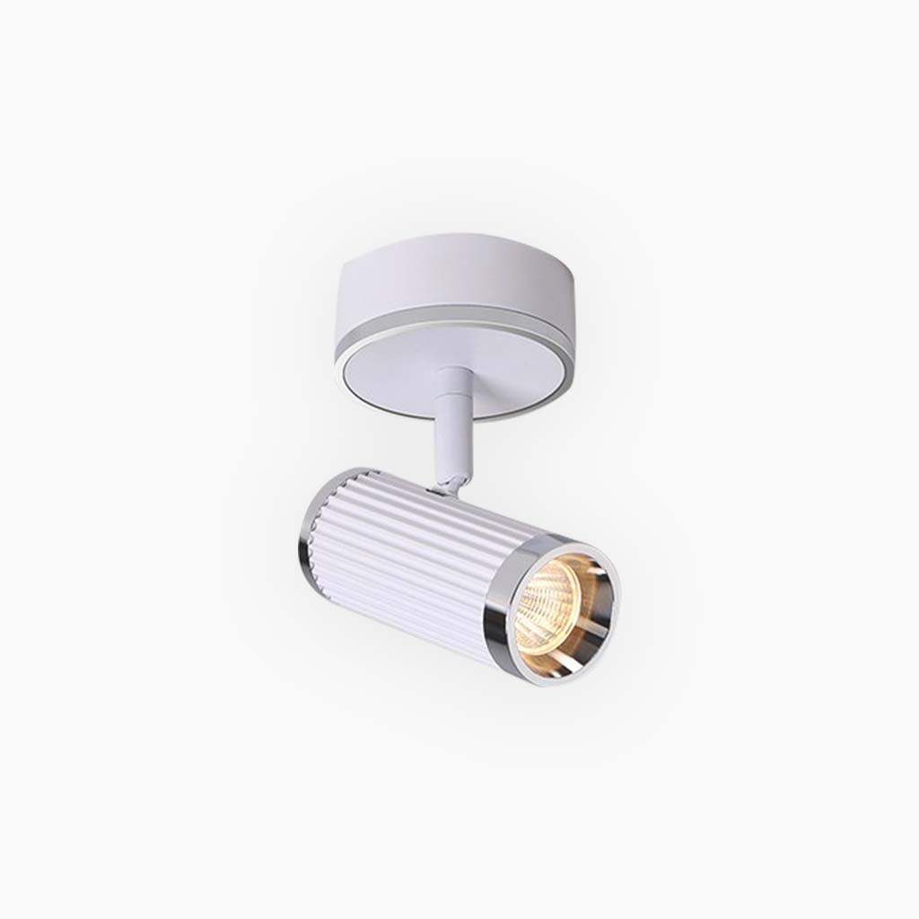 Ceiling / Wall Spotlight Fashion Adjustable LED, White