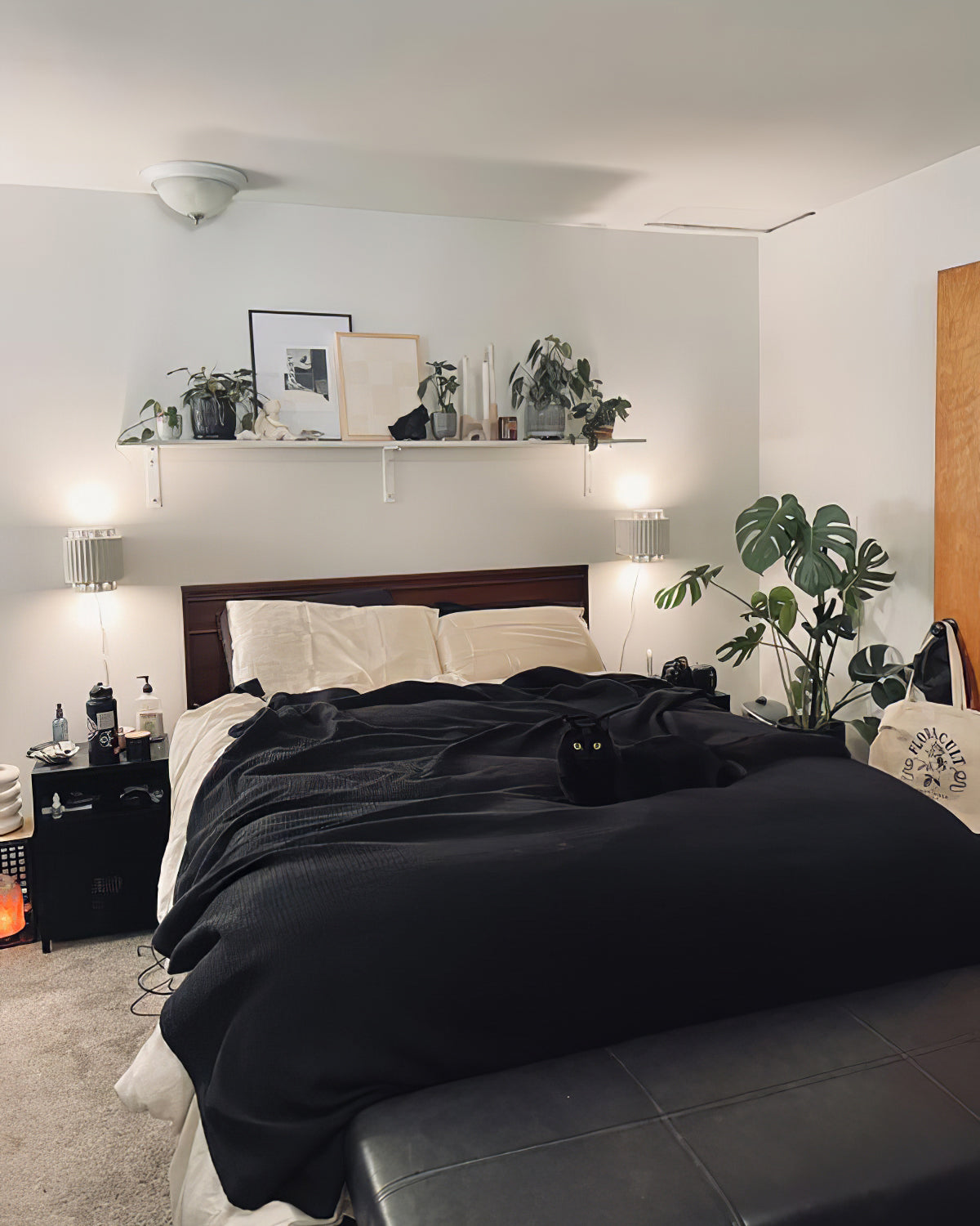 Tristan Plug In Wall Lamp