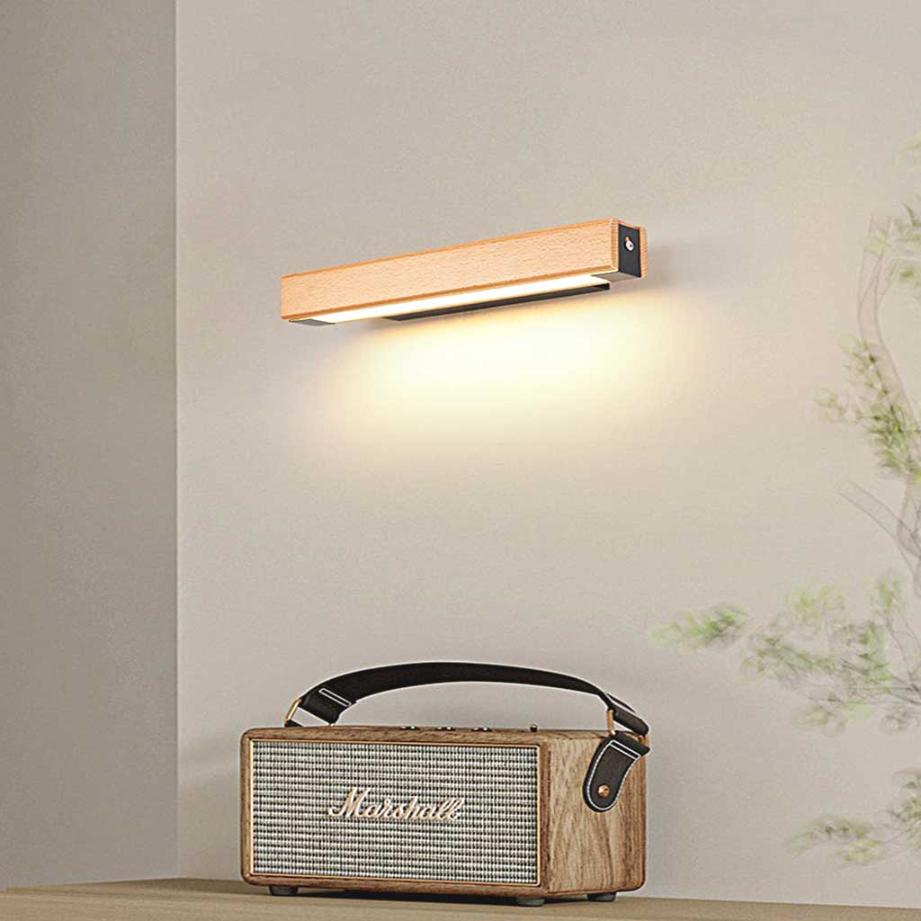Wall Sconce Modern LED Light