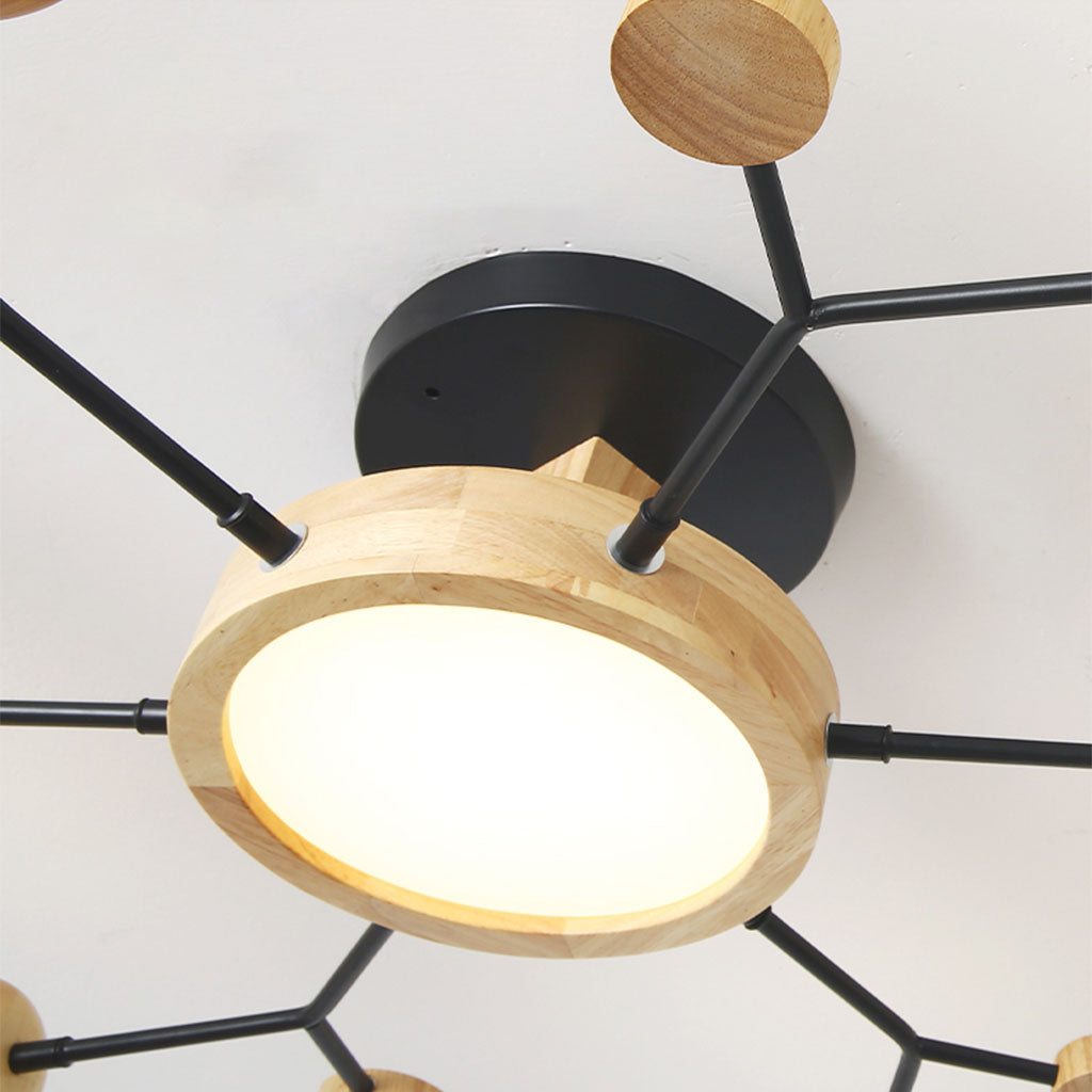 Chandelier Ceiling Light Elegant Design