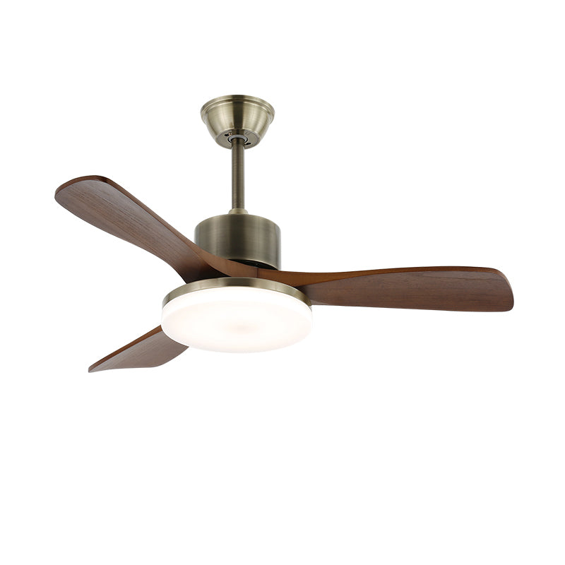 Zephyr Wooden Ceiling Fan Light