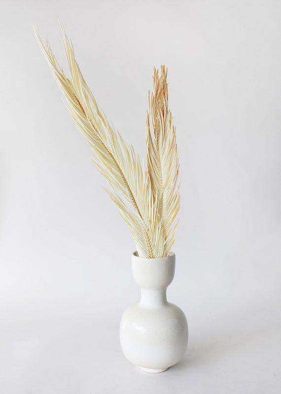 Natural Striking Dried Sago Palm Stems