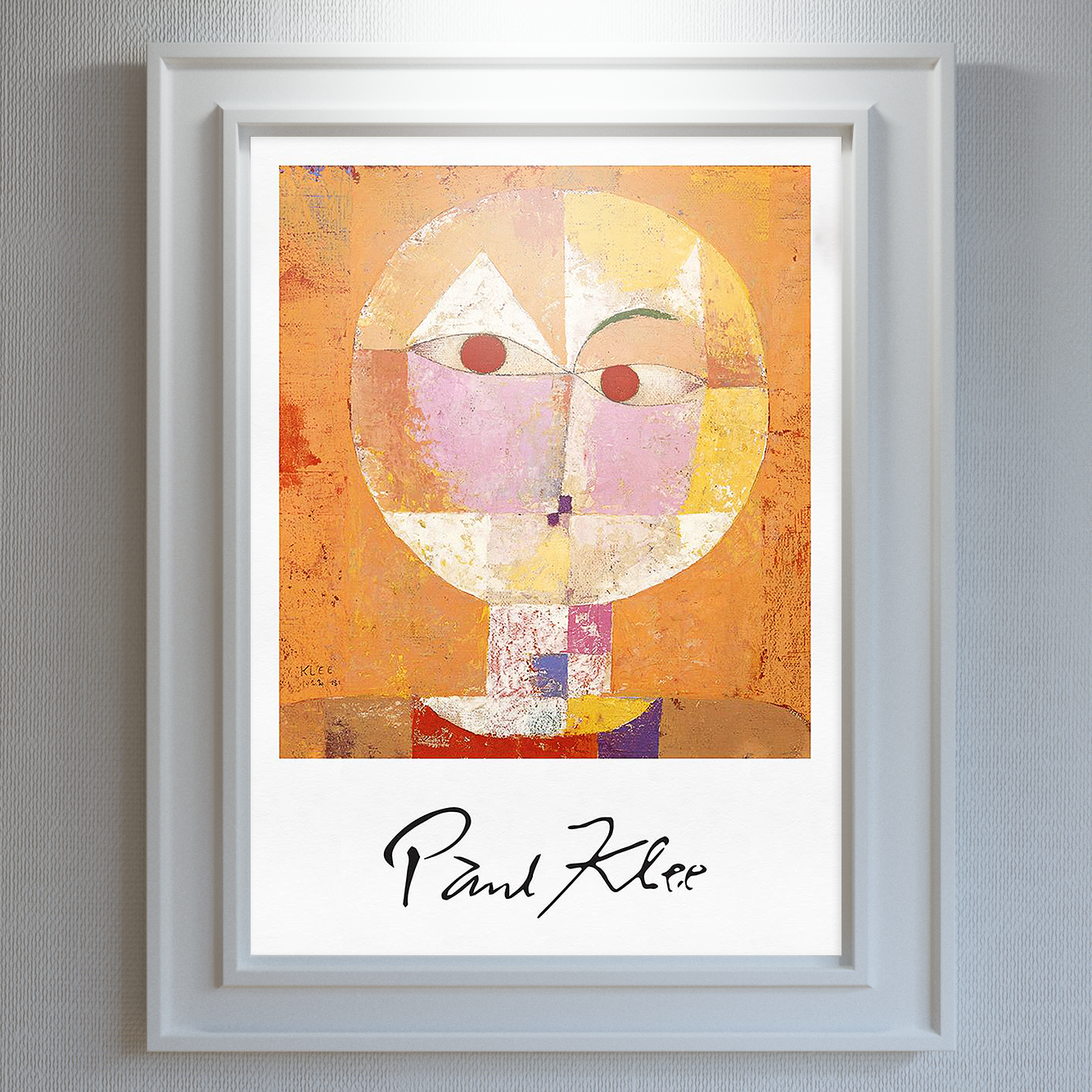 Senecio - Nordic Side - 