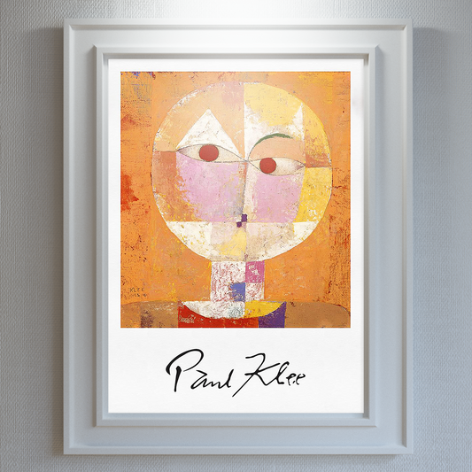 Senecio - Nordic Side - 