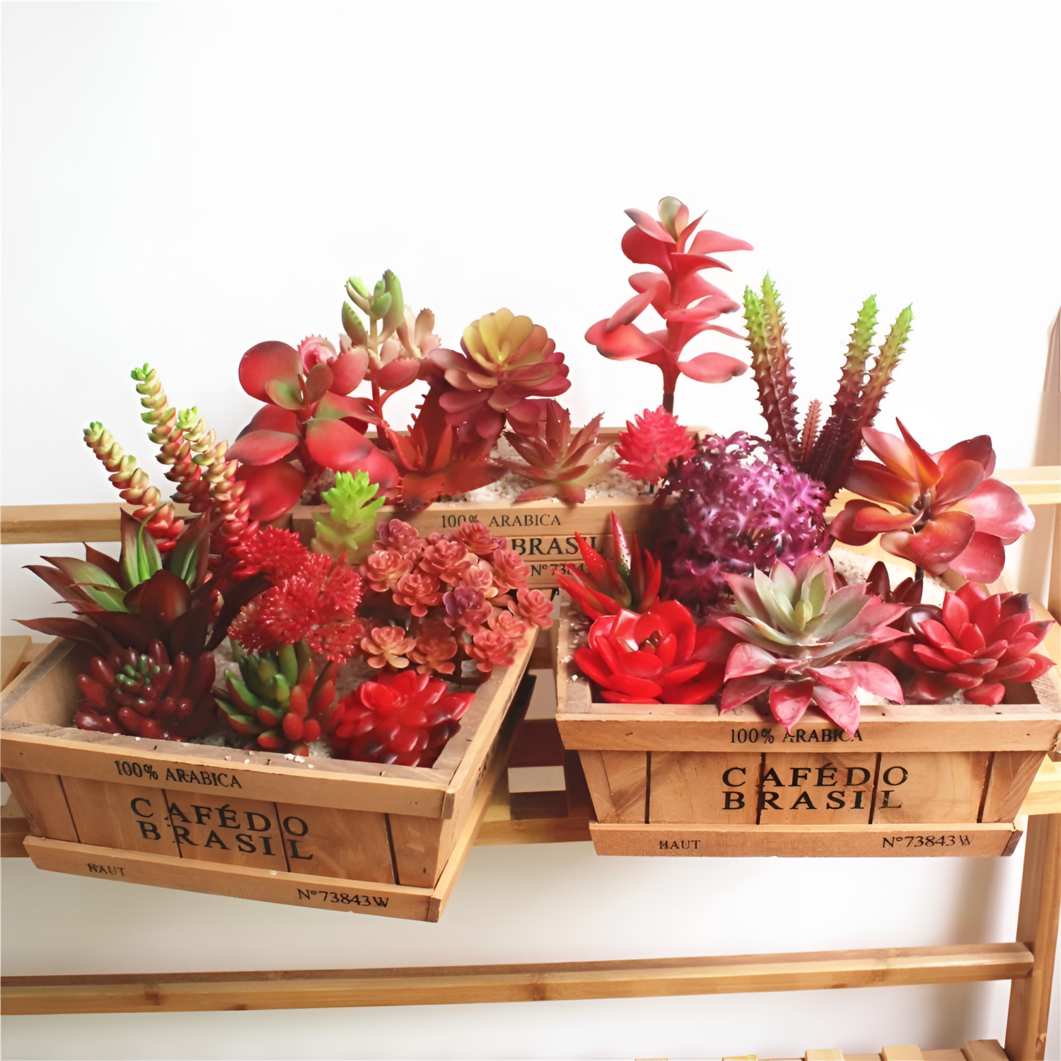 Red Vibrant Faux Succulent Plant | Plants | NordicAbode.com