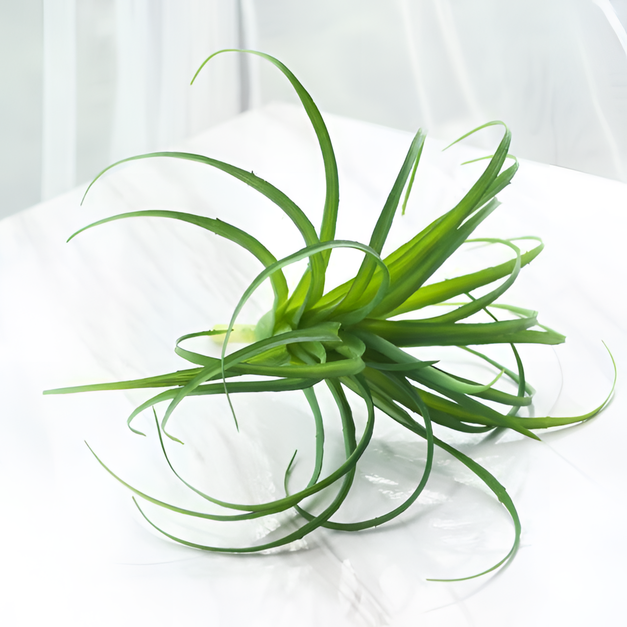 Artificial Handmade Artificial Air Plant | Plants | NordicAbode.com