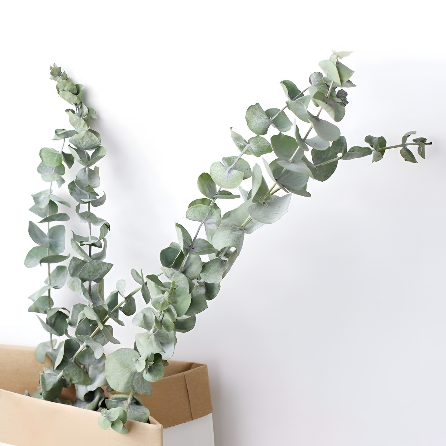 Artificial Elegant Eucalyptus Stems - 10pcs | Floral Decor | NordicAbode.com