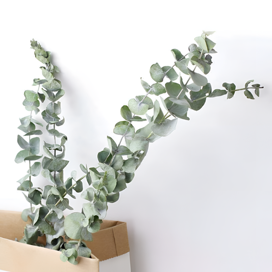 Artificial Elegant Eucalyptus Stems - 10pcs | Floral Decor | NordicAbode.com