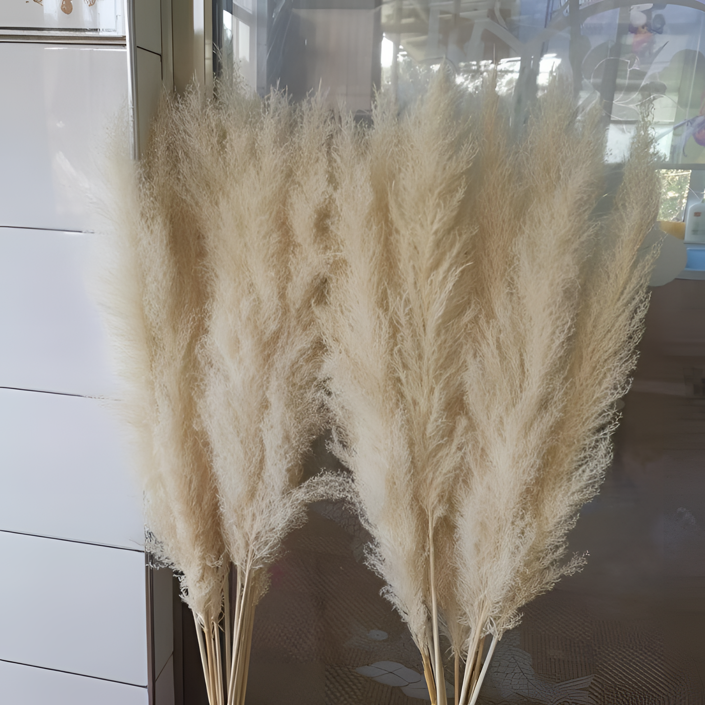 Large Fluffy White Pampas Grass Bundle | Dried Florals | NordicAbode.com