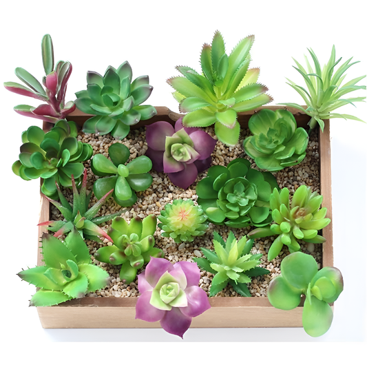 Mini Eternal Artificial Succulent | Plants | NordicAbode.com