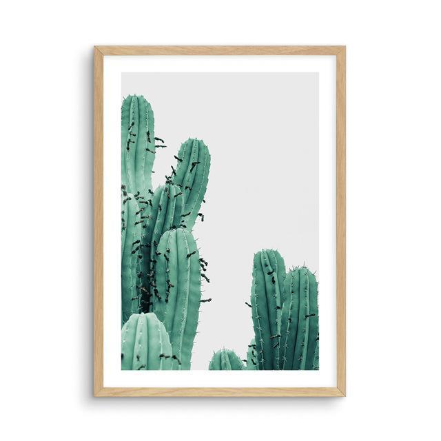 Cactus Everywhere - Nordic Side - 