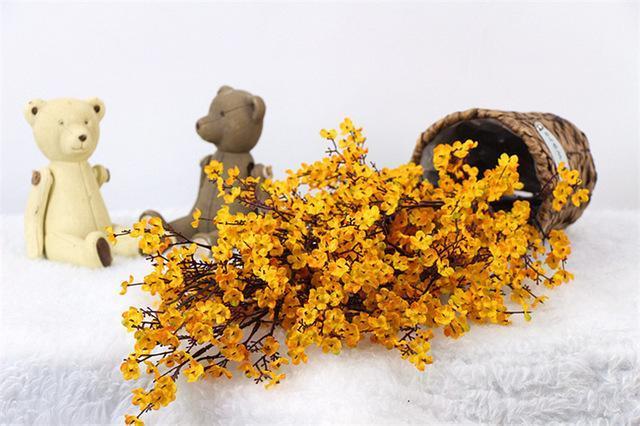 Gypsophila Flower - Nordic Side - 