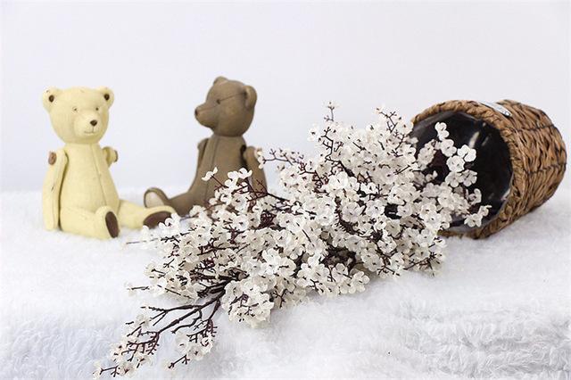 Gypsophila Flower - Nordic Side - 