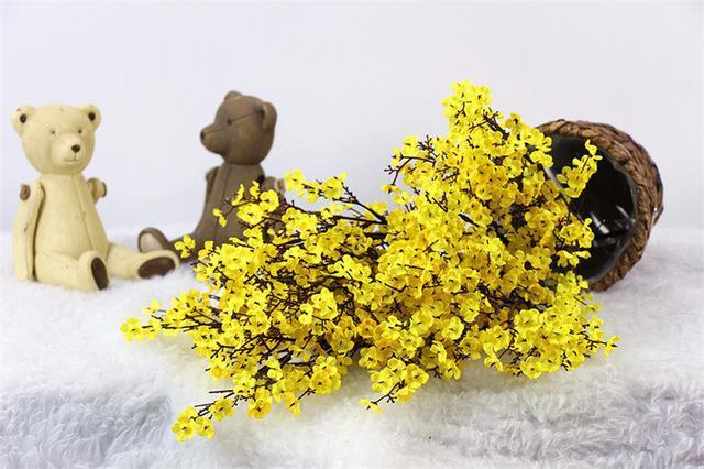 Gypsophila Flower - Nordic Side - 