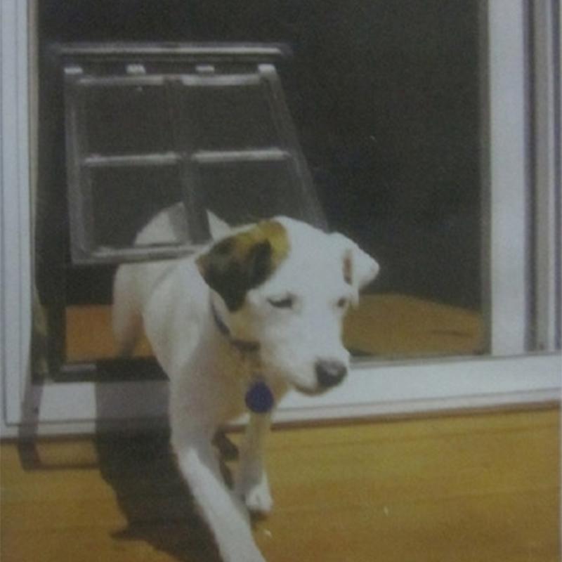 Max - Lockable Screen Doggy Door - Nordic Side - 06-23