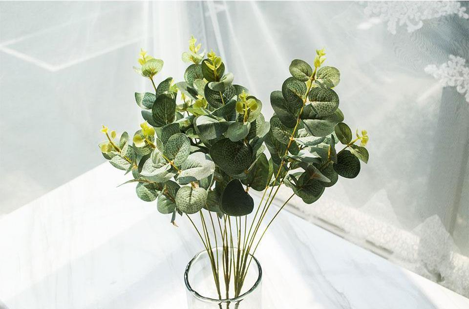 Four Branches of Eucalyptus - Nordic Side - 