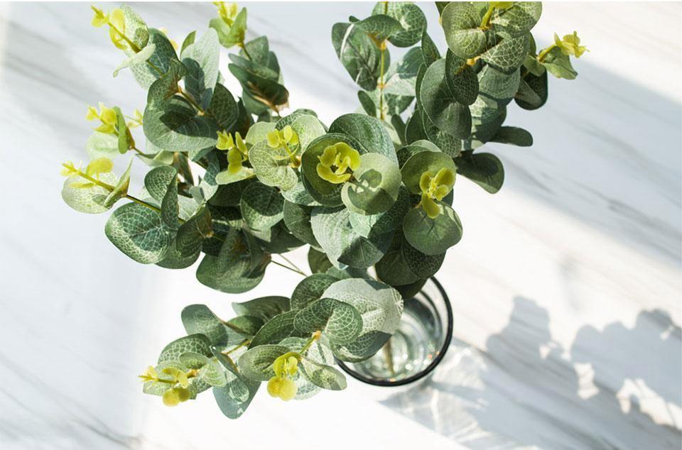 Four Branches of Eucalyptus - Nordic Side - 