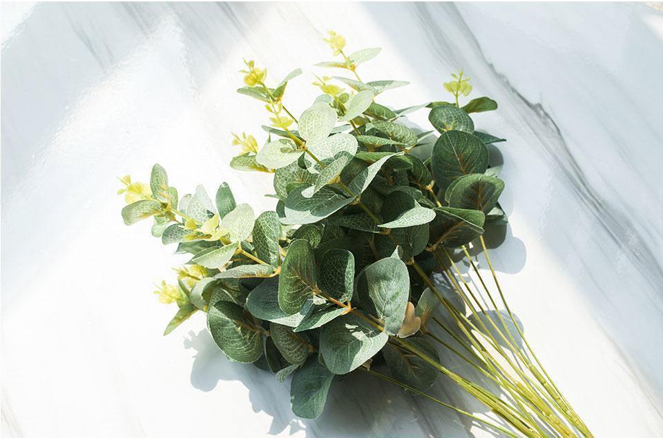 Four Branches of Eucalyptus - Nordic Side - 