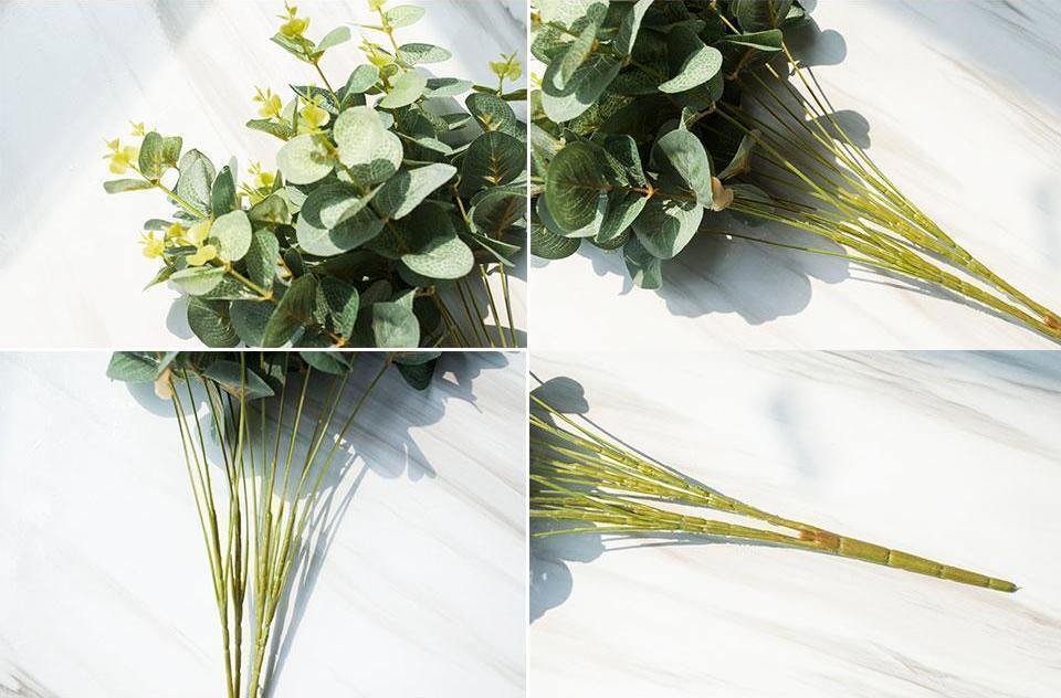 Four Branches of Eucalyptus - Nordic Side - 