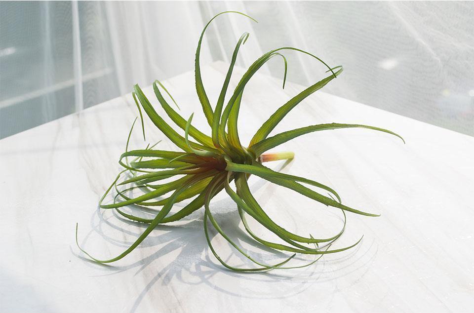Artificial Air Plant - Nordic Side - 