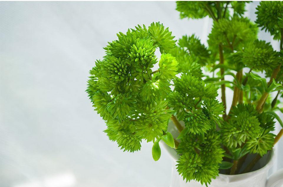 Floral Succulent Branch - Nordic Side - 