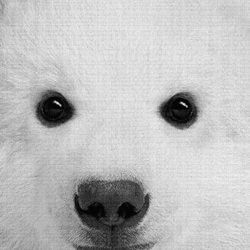 Nordic Animals - Nordic Side - 