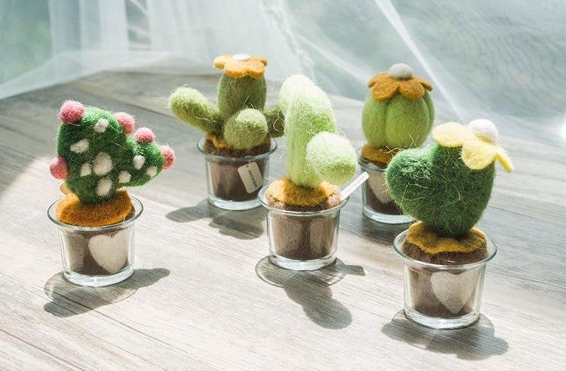 Felted Cactus Miniature - Nordic Side - 