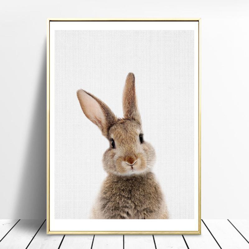 Fluffy Rabbit - Nordic Side - 