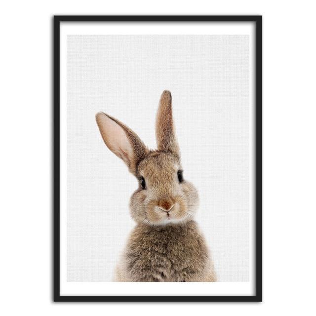 Fluffy Rabbit - Nordic Side - 