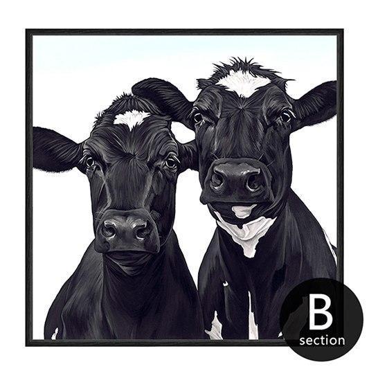 Black Cows Wall Art - Nordic Side - 