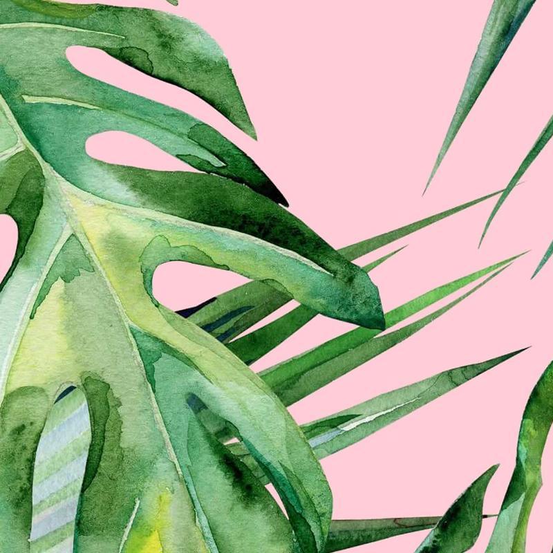 Pink Palm & Parfume - Nordic Side - 