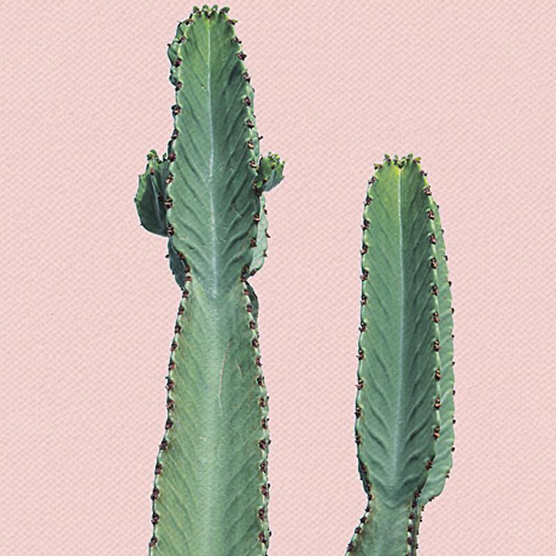 Tropical Pastel Wall Arts - Nordic Side - 