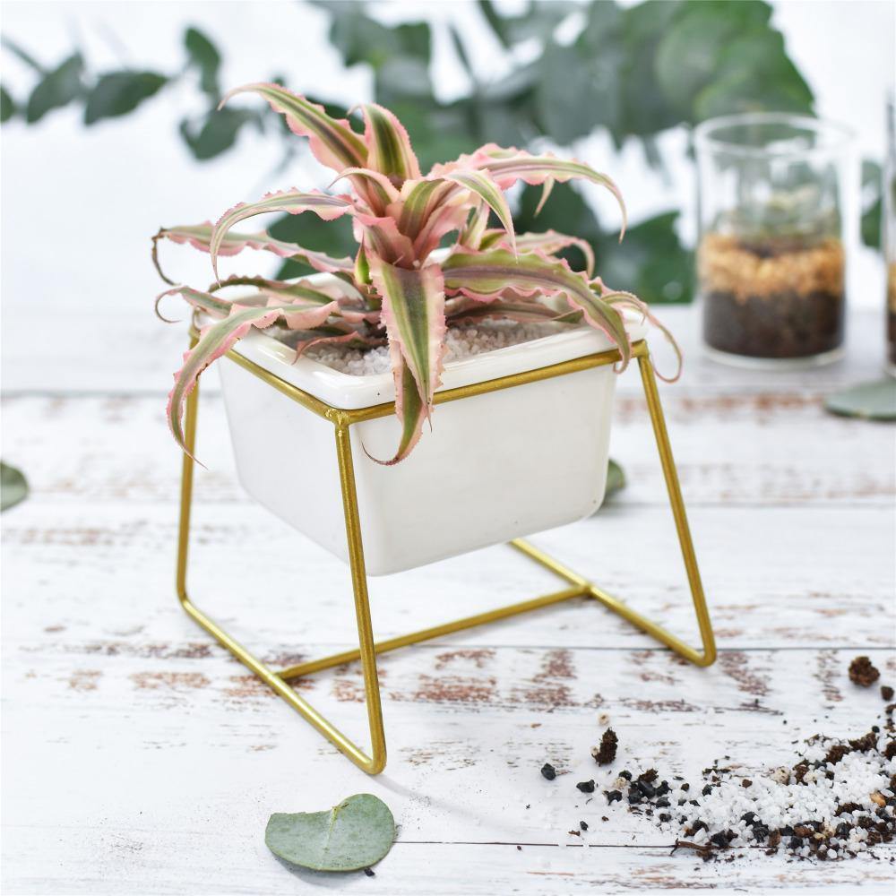 Mini Square Standing Pot - Nordic Side - 