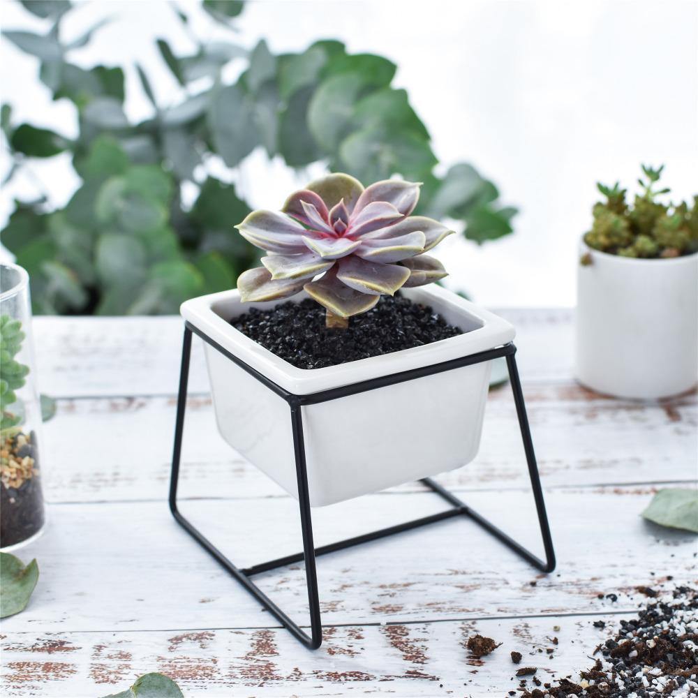 Mini Square Standing Pot - Nordic Side - 