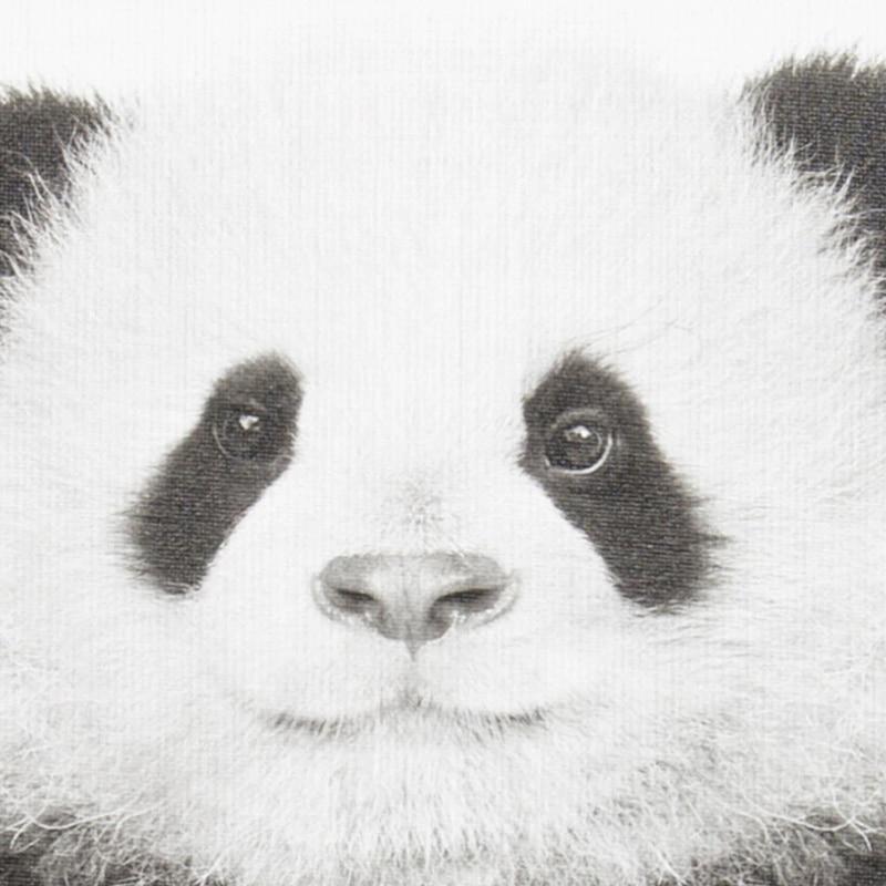 Fluffy Baby Animals - Nordic Side - 