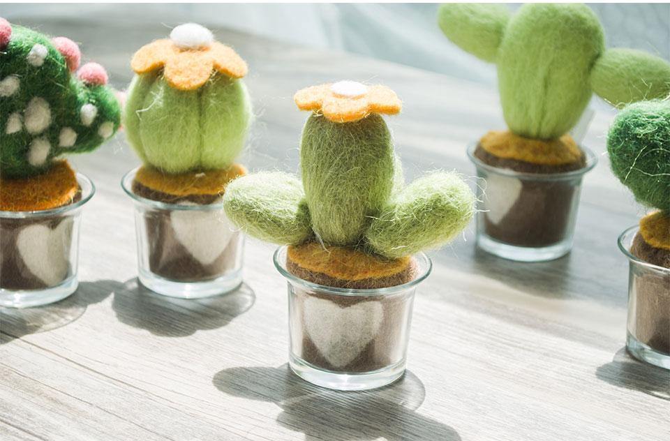 Felted Cactus Miniature - Nordic Side - 