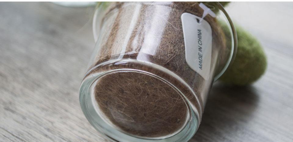 Felted Cactus Miniature - Nordic Side - 