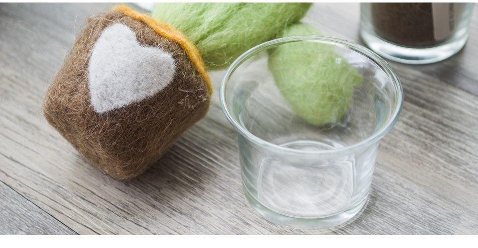 Felted Cactus Miniature - Nordic Side - 