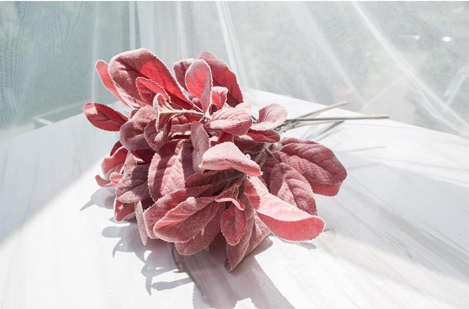 Flocked Lamb Ear Leaf - Nordic Side - 