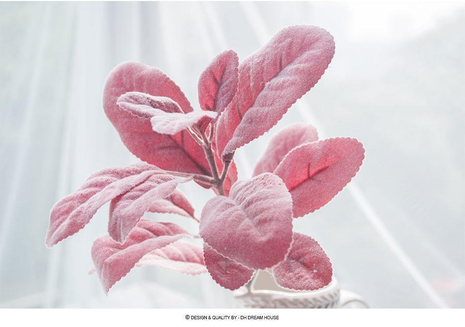 Flocked Lamb Ear Leaf - Nordic Side - 