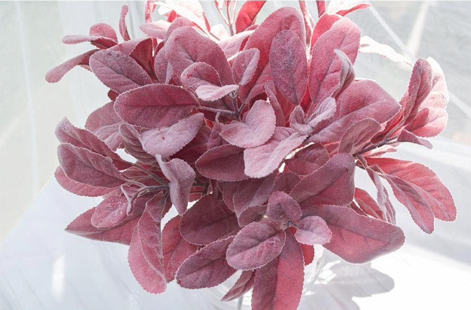 Flocked Lamb Ear Leaf - Nordic Side - 