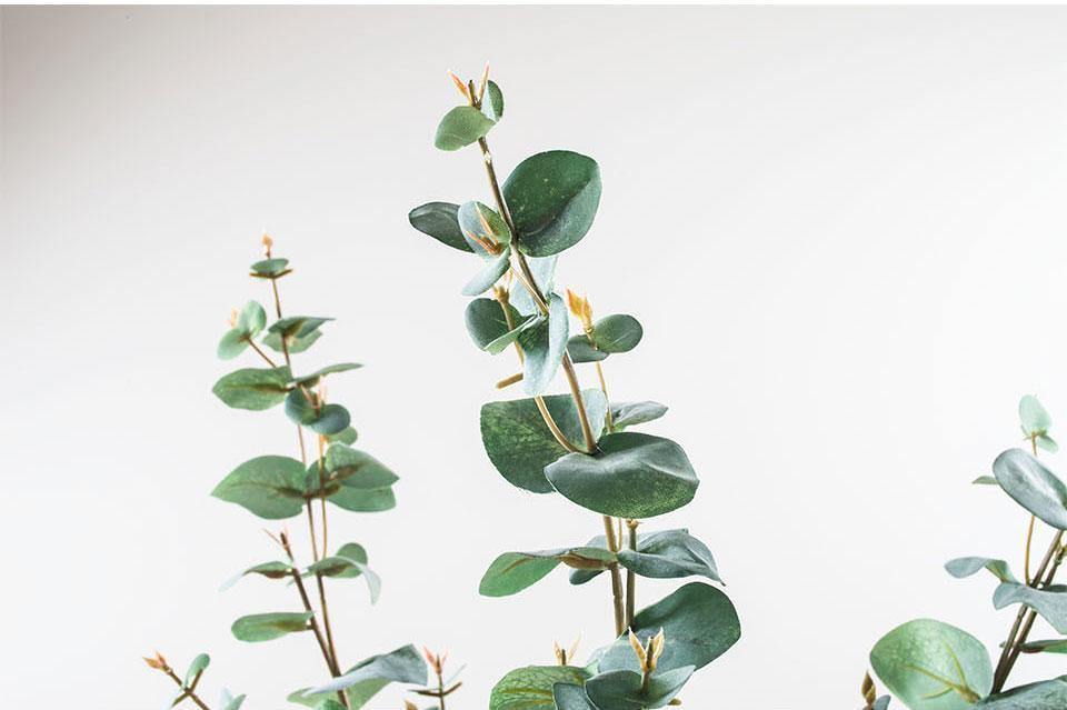 Mint Eucalyptus Branch - Nordic Side - 