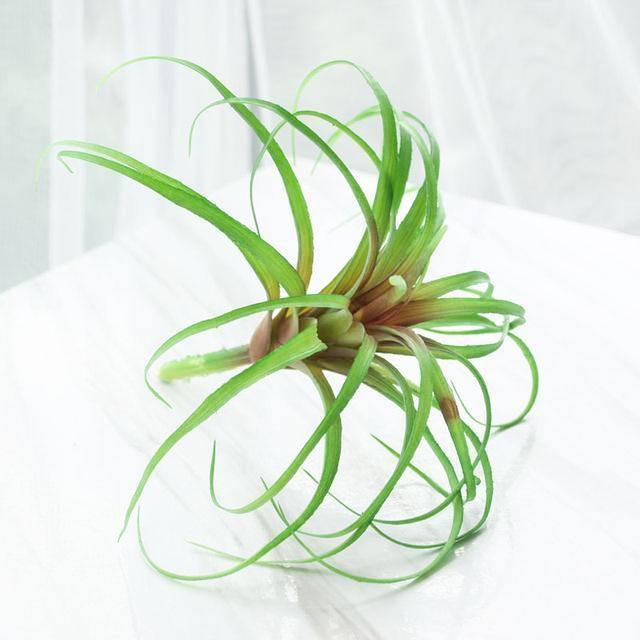 Artificial Air Plant - Nordic Side - 