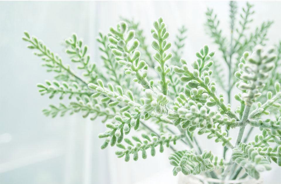 Antler Leaf - Nordic Side - 