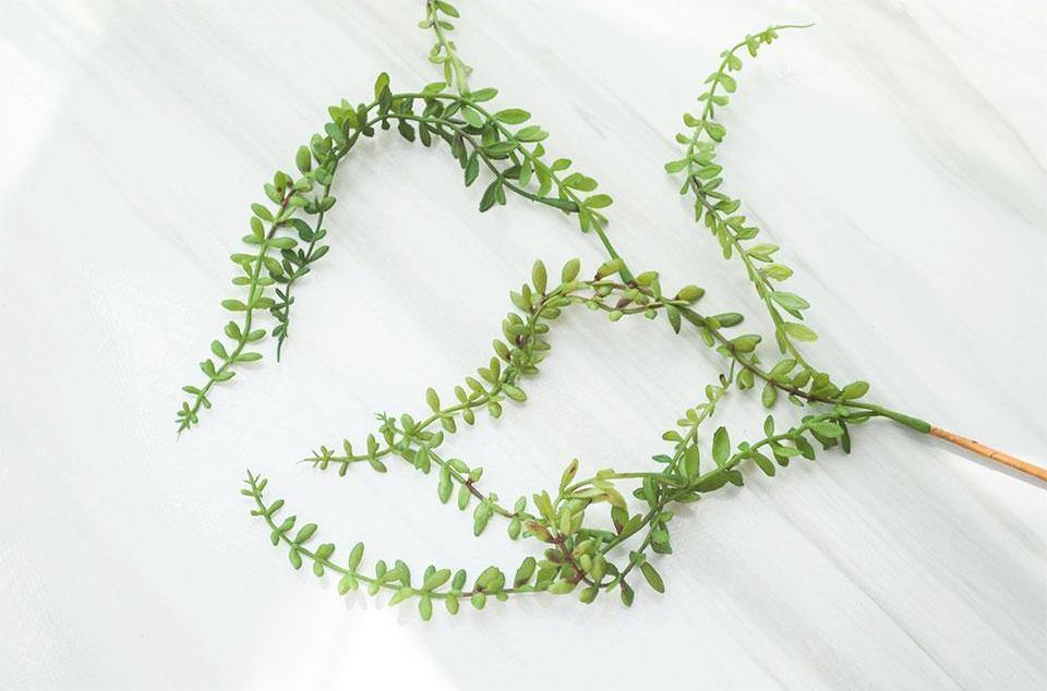 Pearl Hanging Spray - Nordic Side - 