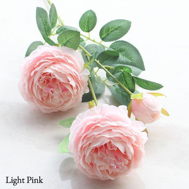 Three-head Peony - Nordic Side - 