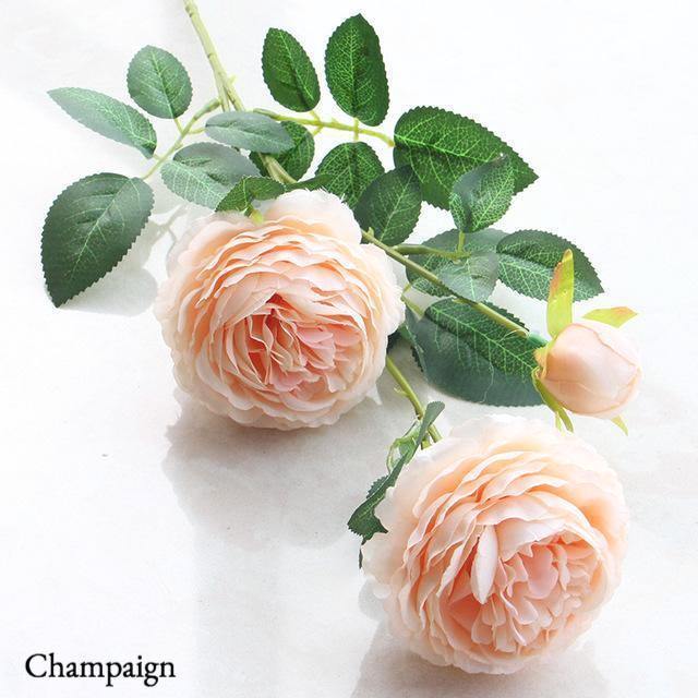 Three-head Peony - Nordic Side - 