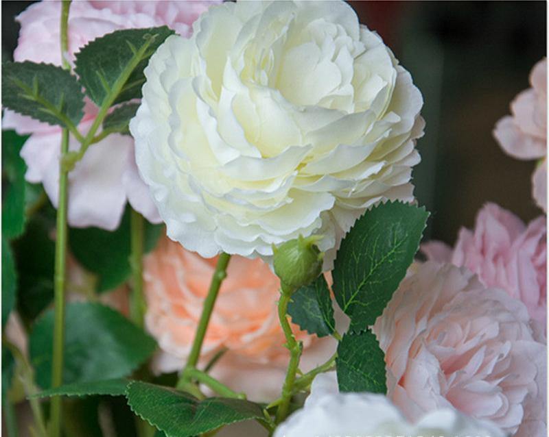Three-head Peony - Nordic Side - 