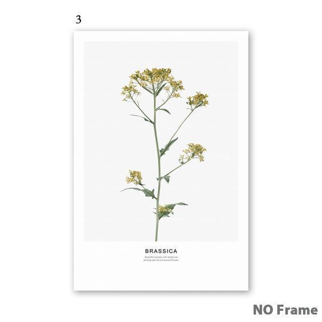 Nordic Flowers - Nordic Side - 